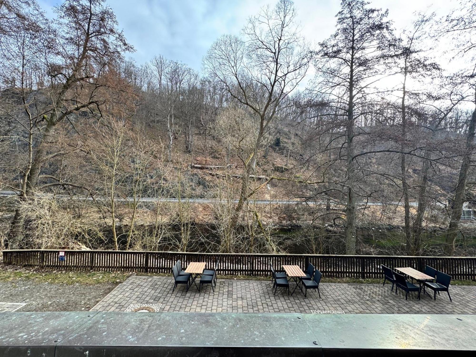 Hotel Bodeblick Thale Kültér fotó
